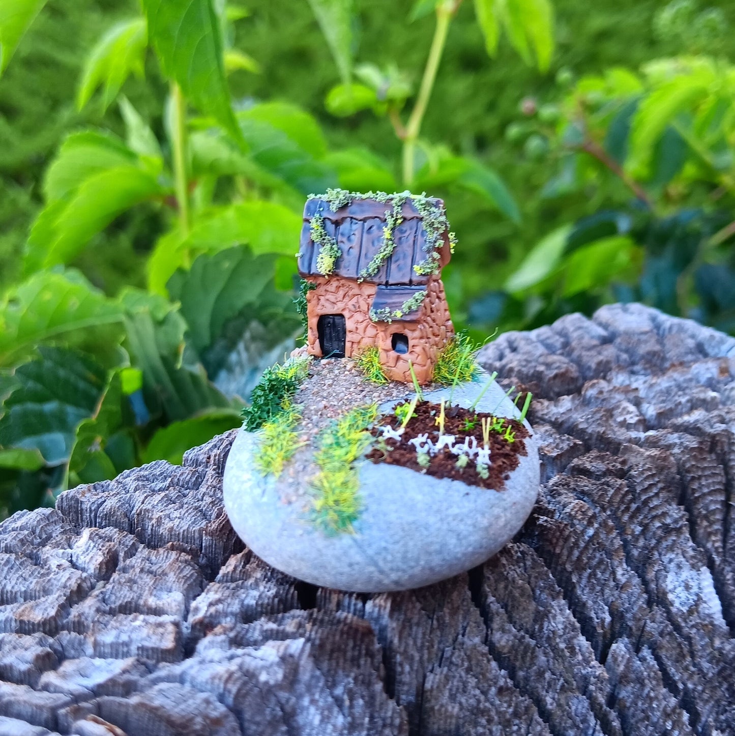 Tiny Fairy Garden For Your Dollhouse Yard or Garden Gnome Home 1:12 Scale Miniature Fairies Decor - The Garden House