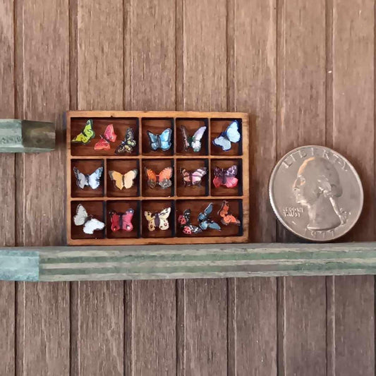 Dollhouse Miniature Butterfly Display. 17 Paper Butterflies in a Wooden Shadow Box. Handcrafted and One of a Kind