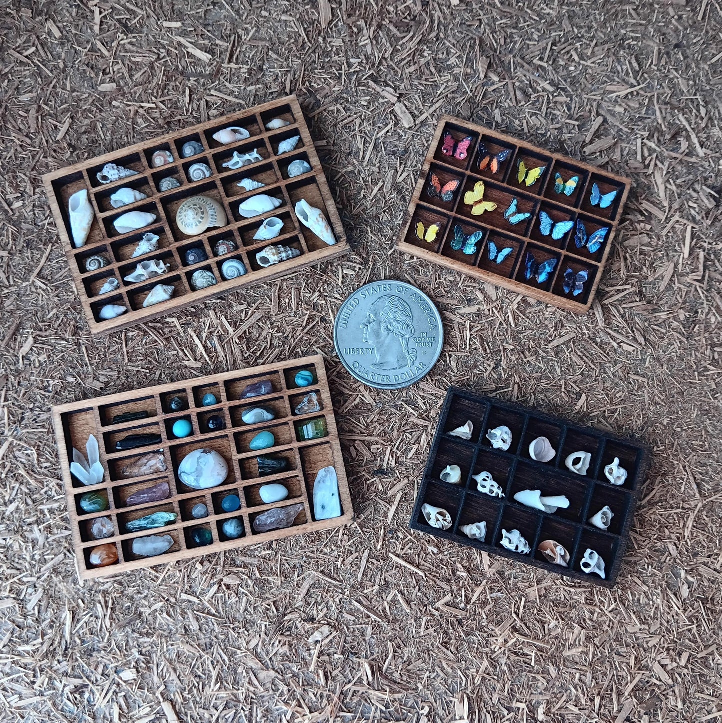 Dollhouse Miniature Nature Display. Stones & Crystals in a Tiny Printers Tray. Hand Crafted and One of a Kind Shadow Box. Cottage Decor