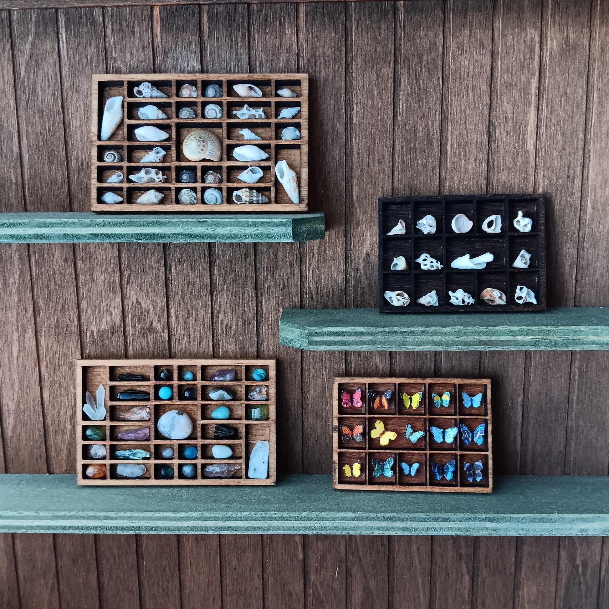 Dollhouse Miniature Nature Display. Sea Shells in a Tiny Printers Tray. Hand Crafted and One of a Kind Seashell Collection Shadow Box