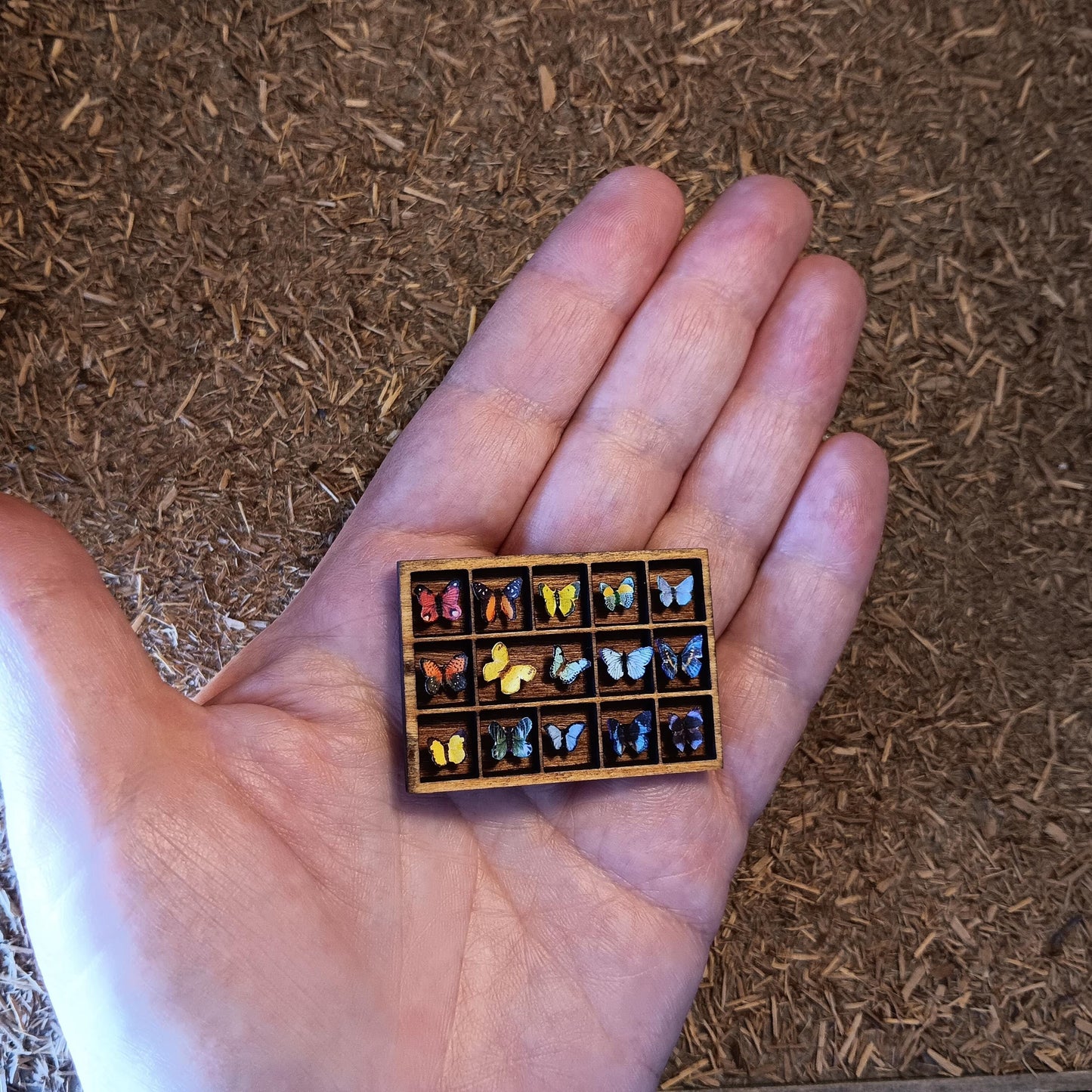 Dollhouse Miniature Rainbow Butterfly Display. 15 Paper Butterflies in a Wooden Shadow Box. Handcrafted and One of a Kind